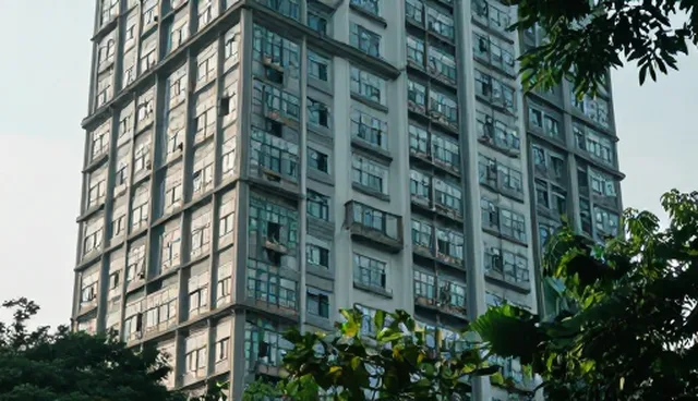 绿色蔬菜包装袋使用场景中的维护建议