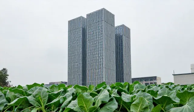 渠道供货中集中仓储如何解决库存积压问题?